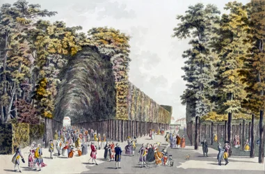 Limegrove Walk, Augarten, Vienna